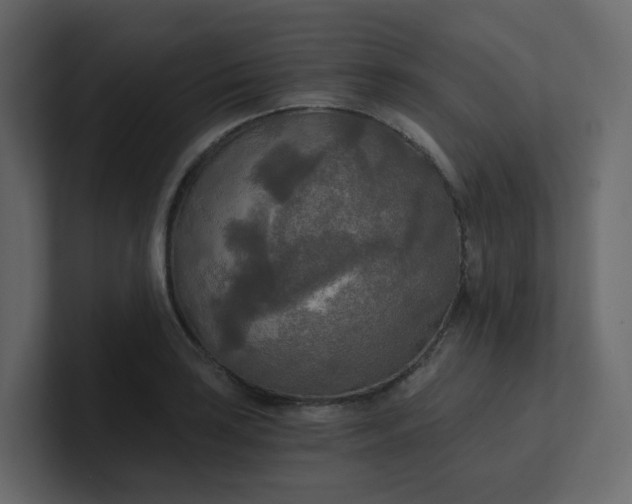 X0000101121035200807101538