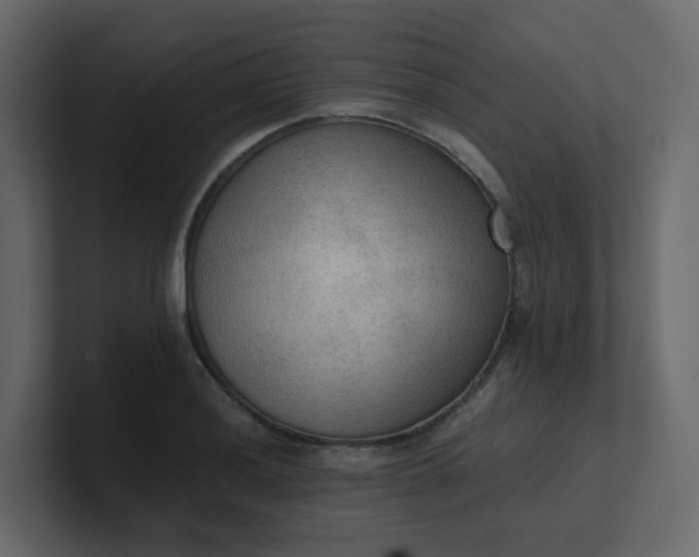 X0000101121036200807101538