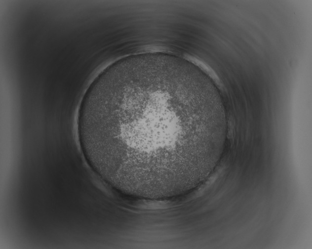 X0000101121039200807101538