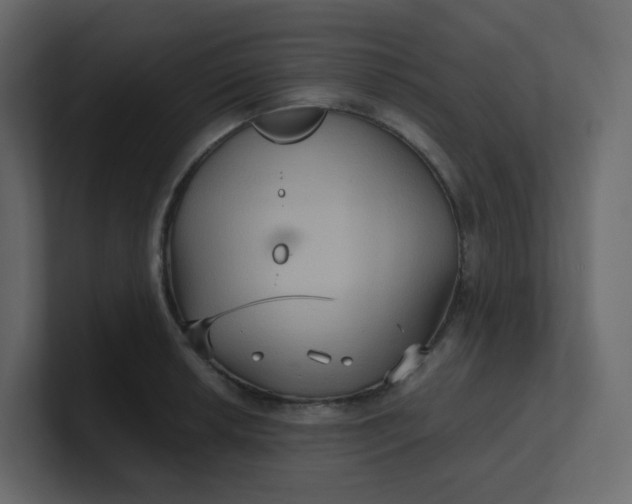 X0000101121042200807101538
