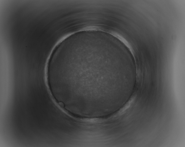 X0000101121045200807101538
