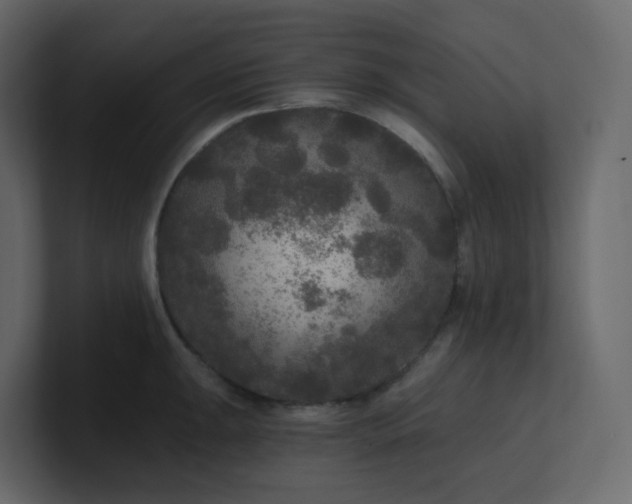 X0000101121047200807101538