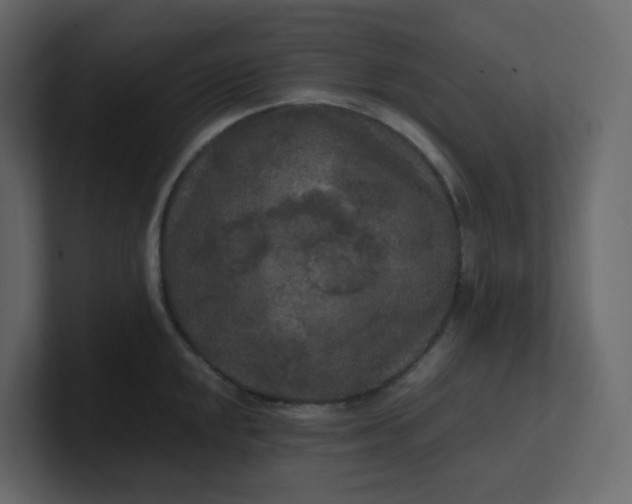 X0000101121048200807101539