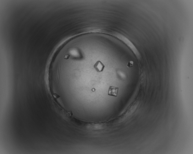 X0000101121051200807101539