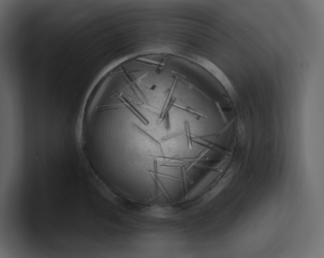 X0000101121052200807101539