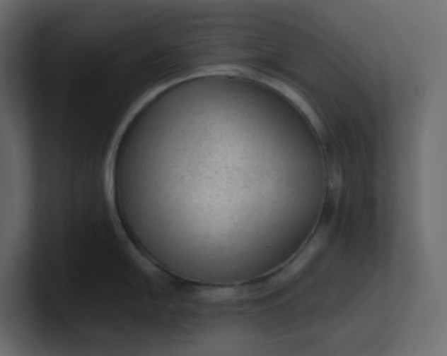 X0000101121054200807101539