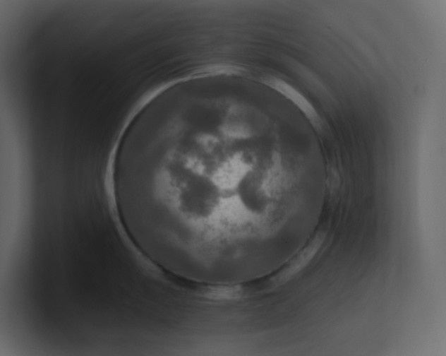 X0000101121055200807101539