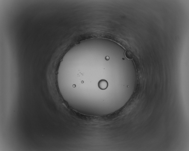 X0000101121057200807101538
