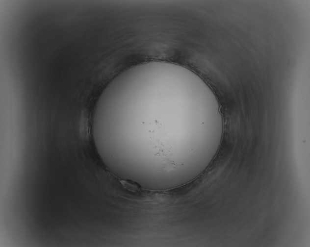 X0000101121058200807101538