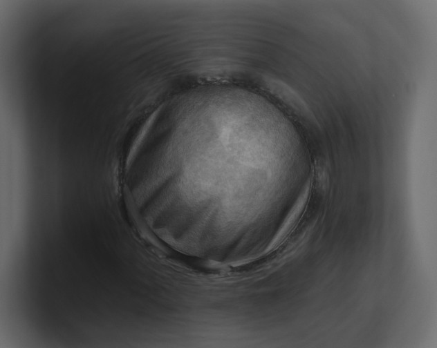 X0000101121060200807101538