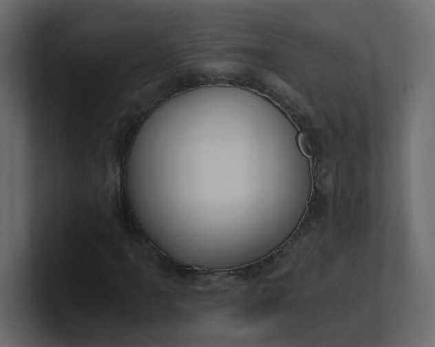 X0000101121061200807101538