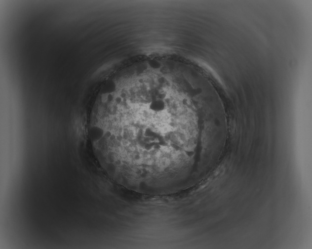X0000101121063200807101538