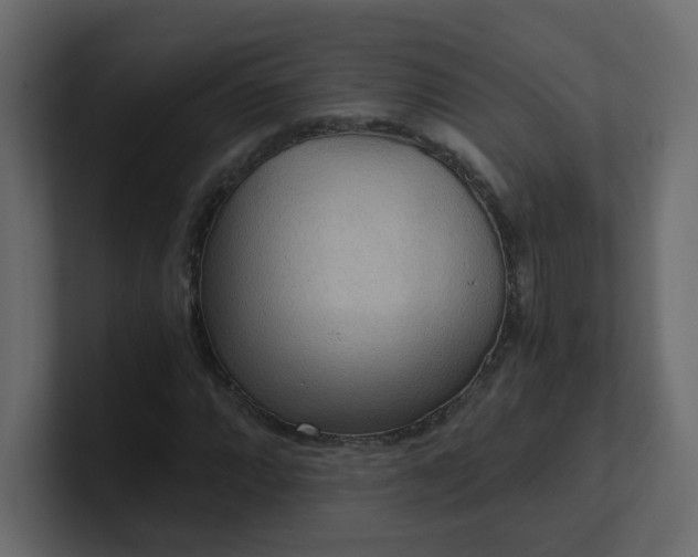 X0000101121064200807101538