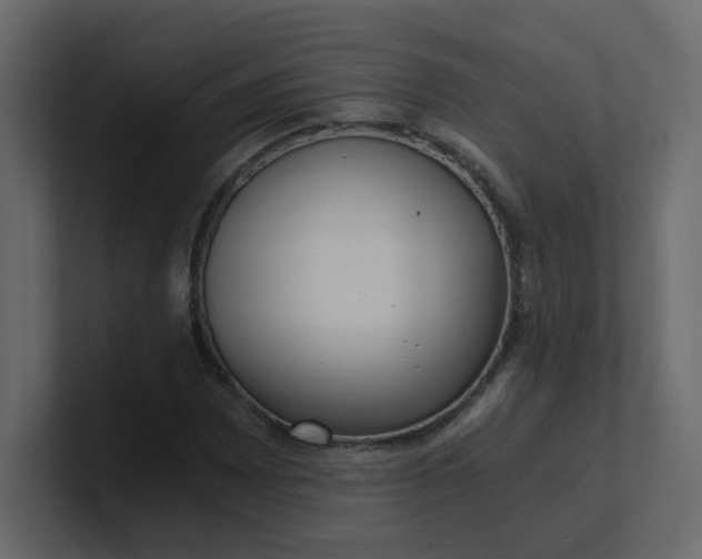X0000101121065200807101538