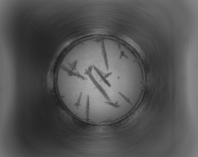 X0000101121067200807101538