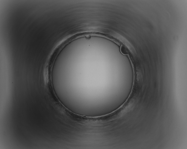 X0000101121069200807101538