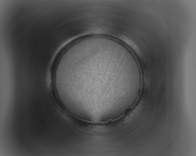 X0000101121070200807101538
