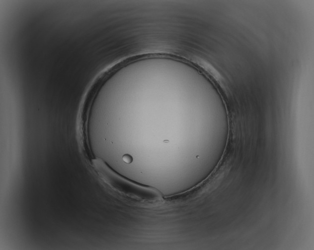 X0000101121072200807101538