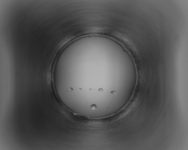 X0000101121073200807101538