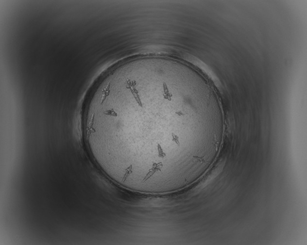 X0000101121075200807101538