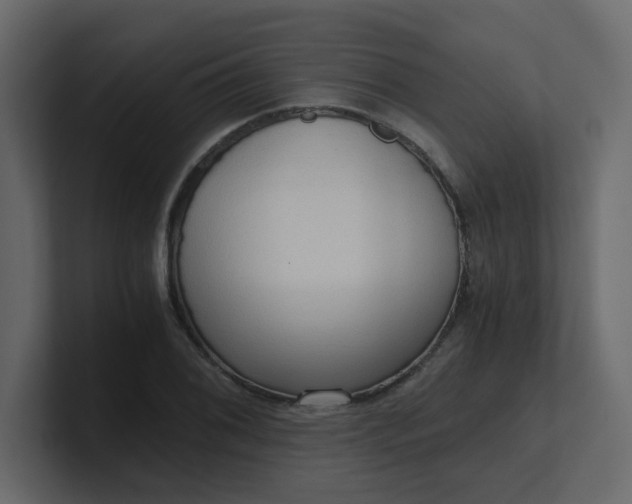X0000101121076200807101538
