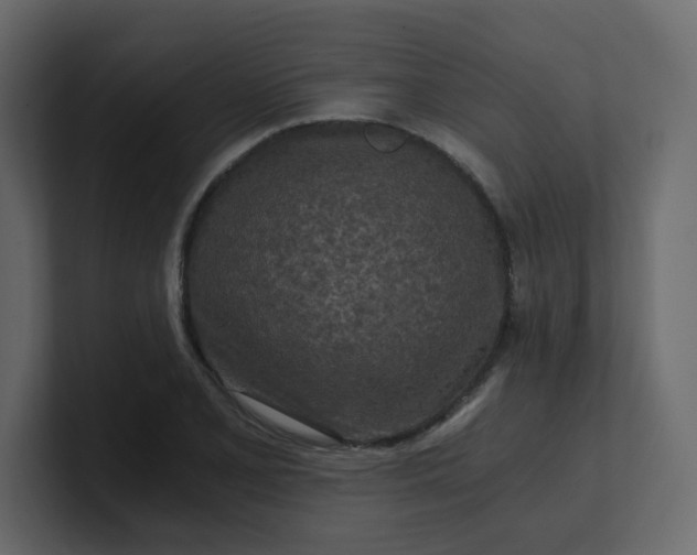 X0000101121077200807101538