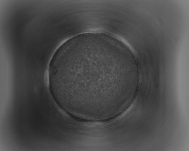 X0000101121079200807101538