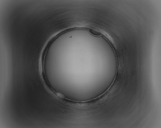 X0000101121080200807101538