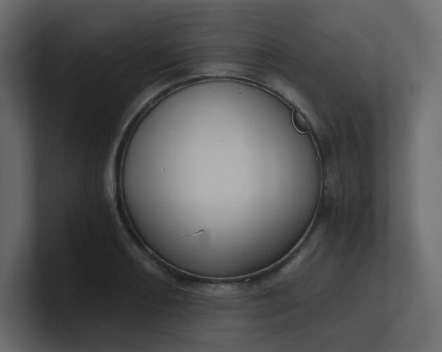 X0000101121082200807101538