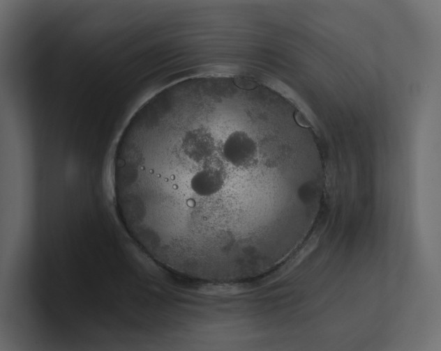 X0000101121083200807101538