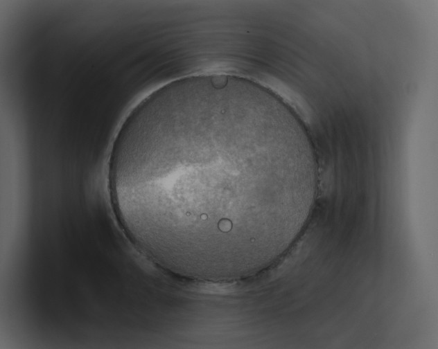 X0000101121086200807101538