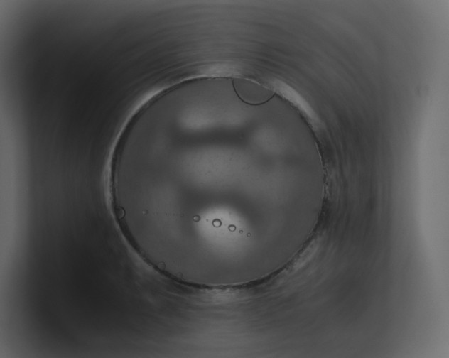 X0000101121087200807101538