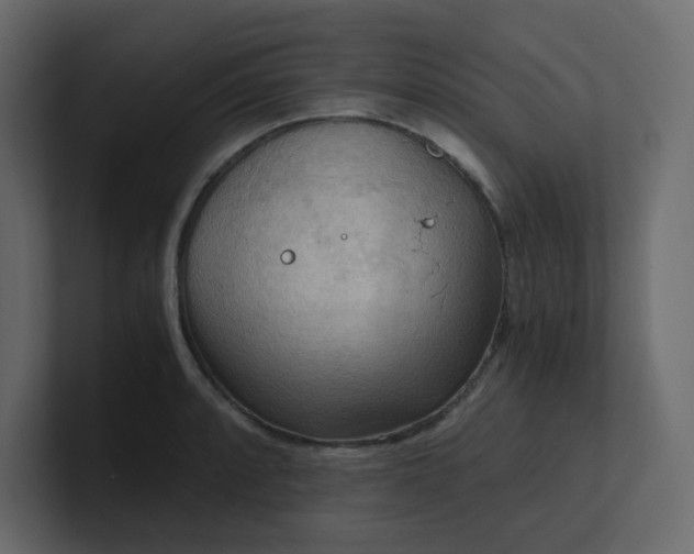 X0000101121088200807101537