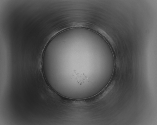 X0000101121089200807101537