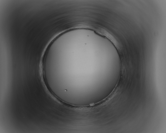 X0000101121092200807101537