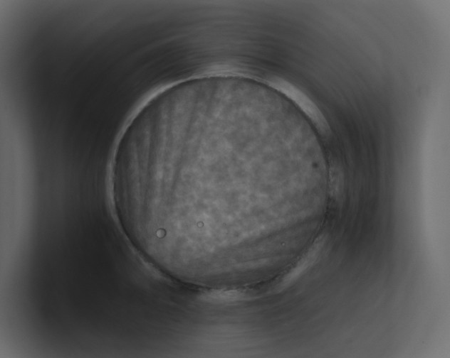 X0000101121094200807101537