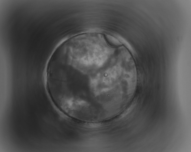 X0000101121095200807101537