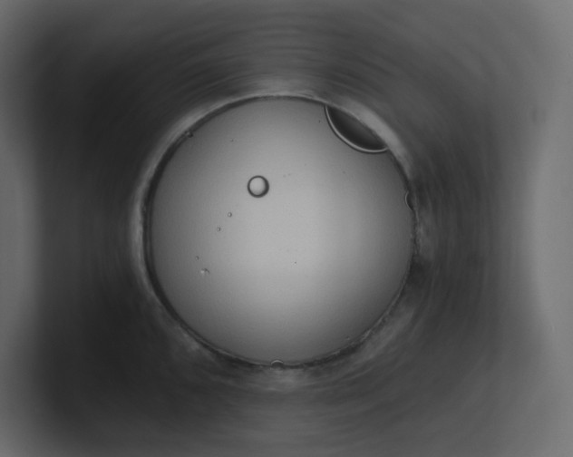 X0000101121096200807101537