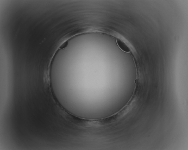 X0000101121097200807101537