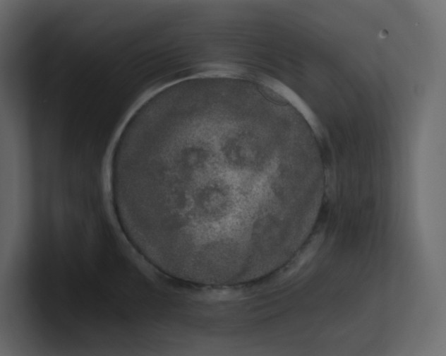 X0000101121099200807101537