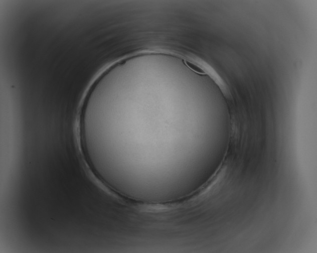 X0000101121100200807101537