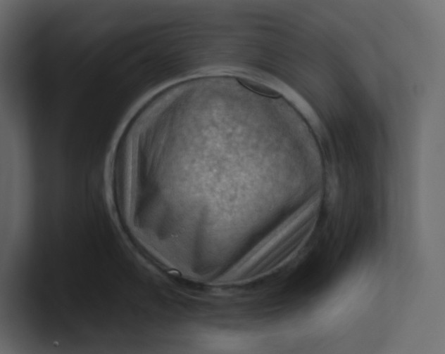 X0000101121102200807101537