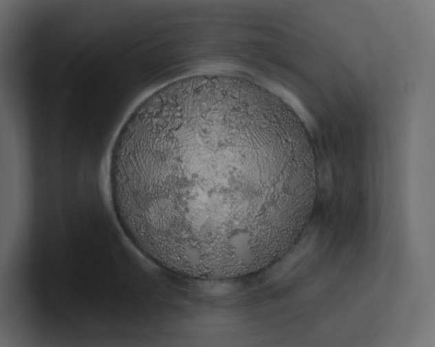 X0000101121103200807101537