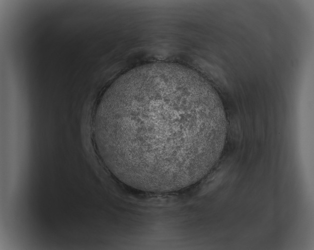 X0000101121105200807101537