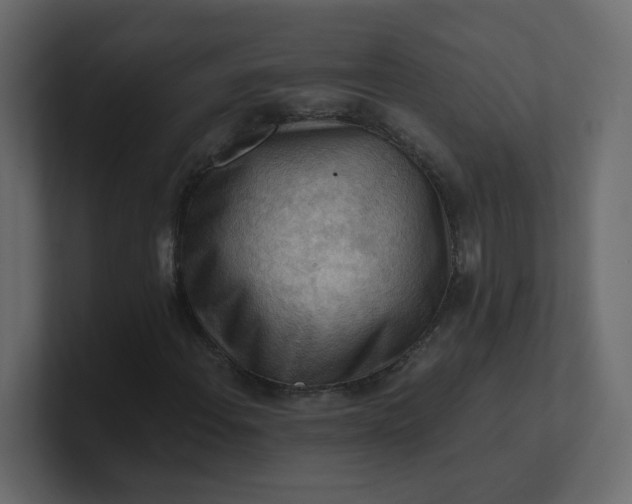 X0000101121108200807101537