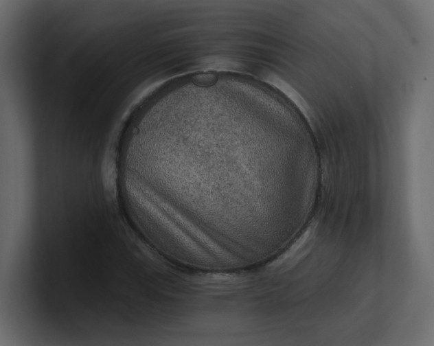 X0000101121115200807101537