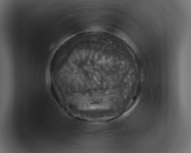 X0000101121117200807101537