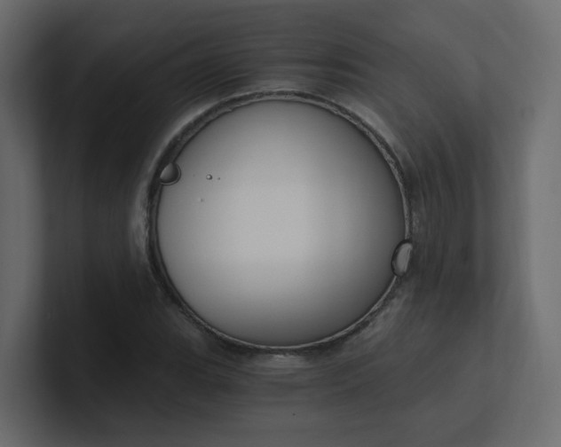 X0000101121119200807101537