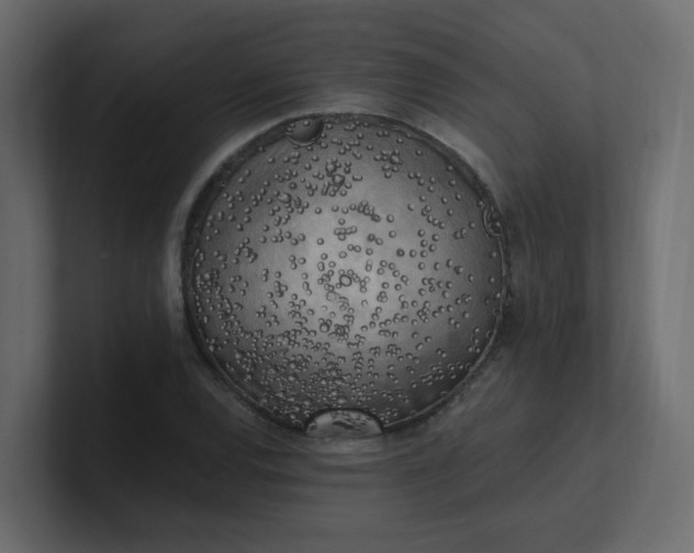 X0000101121120200807101537