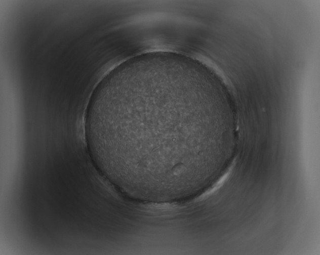 X0000101121121200807101537